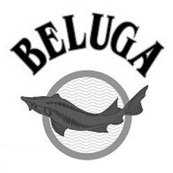 beluga_logo