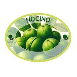 nocino_del_molino_logo