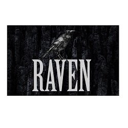 raven’s_vodka_logo