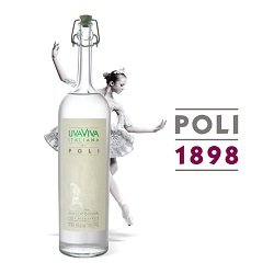 uva_viva_grappa_logo