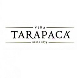 vina_tarapacá_logo