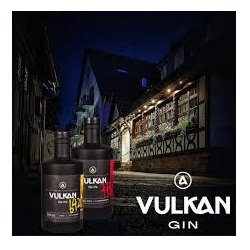 vulkan_gin_logo