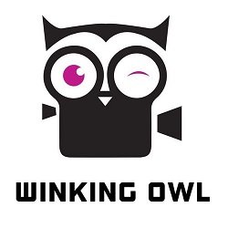 winking_owl_logo